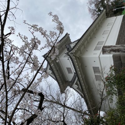 仙台の桜　2019-2023年